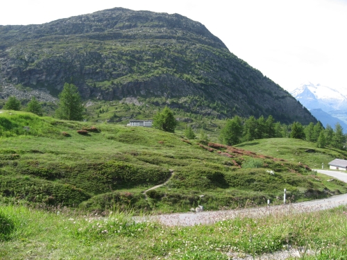Photograph